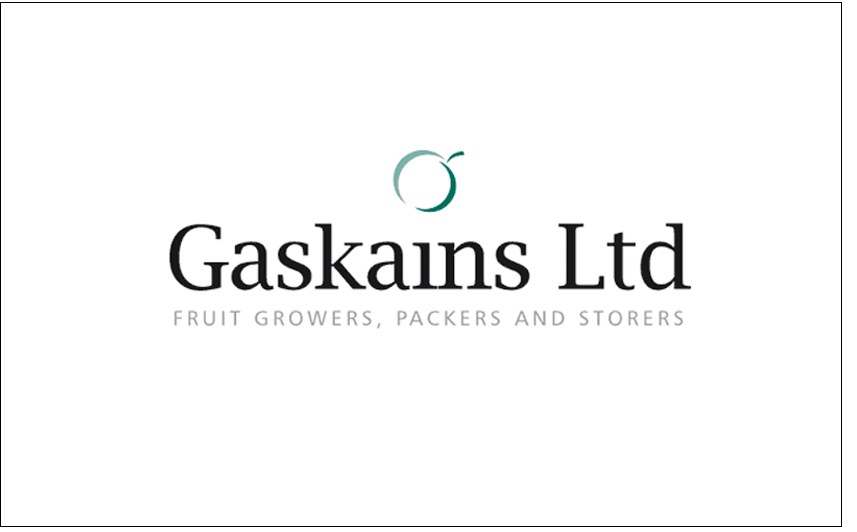 Gaskains Ltd